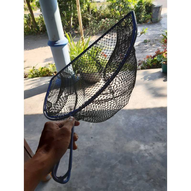 GAGANG BLIMBING serokan ikan lele konsum...