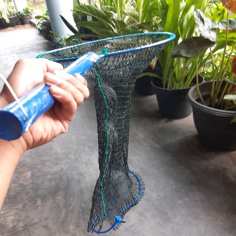 Serokan ikan besar lele brojol bundar li...